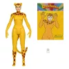 DC Retro Action Figures 15 cm Wave 13 Super Friends Sortiment (6)