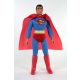 DC Comics: World's Greatest Super-Heroes Action Figure Superman 50th Anniversary 20 cm