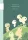 Princess Mononoke Notebook Kodama