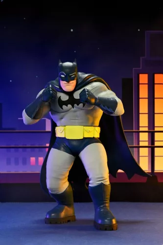 DC Comics Action Figures Series 2 15 cm Assortment (12)