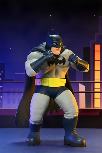 DC Comics Action Figures Series 2 15 cm Assortment (12)