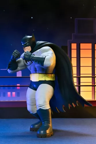 DC Comics Action Figures Series 2 15 cm Assortment (12)