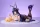 Azur Lane PVC Statue 1/4 Musashi Still Illustration Ver. 17 cm