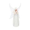 Anne Stokes Statue Only Love Remains 26 cm