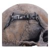 Metallica Statue Pushead Skull 24 cm