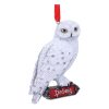 Harry Potter Hanging Tree Ornaments Hedwig Case (6)