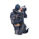 DC Comics Bust Batman & Catwoman 30 cm