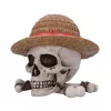 One Piece Storage Box Luffy Jolly Roger