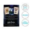 Harry Potter Playing Cards Wizarding World