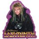 Labyrinth: Jareth Funky Chunky Magnet