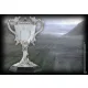 Harry Potter - The Triwizard Cup