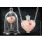 Harry Potter Love Potion Pendant and Display