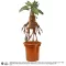 Harry Potter Interactive Plüss Figura Mandrake 30 cm