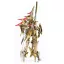 The Five Star Stories Magnapalace Plastic Model The Knight of Gold Enthusiast Edition 23 cm