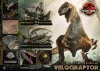 Jurassic Park II Legacy Museum Collection Statue 1/6 Velociraptor Bonus Version 41 cm