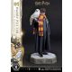 Harry Potter Prime Collectibles Szobor 1/6 Harry Potter with Hedwig 28 cm