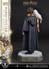 Harry Potter Prime Collectibles Szobor 1/6 Harry Potter with Hedwig 28 cm