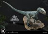 Jurassic World: Fallen Kingdom Prime Collectibles Statue 1/10 Blue (Open Mouth Version) 17 cm