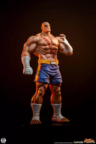 Street Fighter Street Jam Statuen 1/10 Sagat & Juli 24 cm
