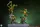 Teenage Mutant Ninja Turtles PVC Statue 4-pack 20 cm