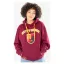 Harry Potter Hooded Sweater Gryffindor Deluxe