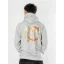 Harry Potter Hooded Sweater Gryffindor Zodiac