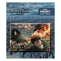 Magnets