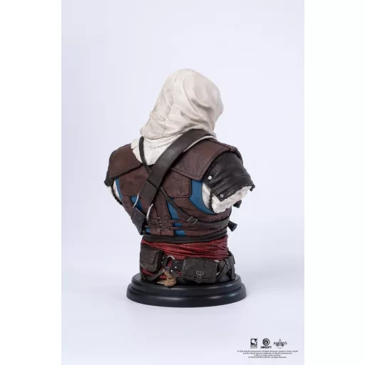 Assassin's Creed Bust 1/4 Edward