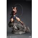 Wonder Woman Comic Statue 1/4 Wonder Woman Early Bird Version 47 cm