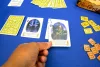 The Fox in the Forest card game *Englische Version*