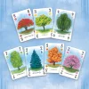 Arboretum card game *Englische Version*