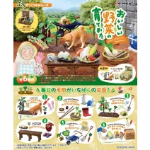 Vegetable Harvesting