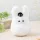 My Neighbor Totoro Beanbag Plush Small Totoro Small