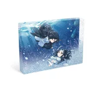 Grandmaster of Demonic Cultivation Dekoráció