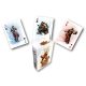 Street Fighter Playing Cards Characters