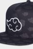 Naruto Shippuden Curved Bill Cap Tonal Akatsuki Cloud