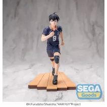 Manga & Anime
