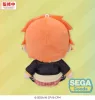 Hatsune Miku: Colorful Stage! Mysekai Plush Figure Akito Shinonome (S) 13 cm