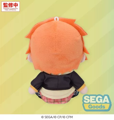 Hatsune Miku: Colorful Stage! Mysekai Plush Figure Akito Shinonome (S) 13 cm