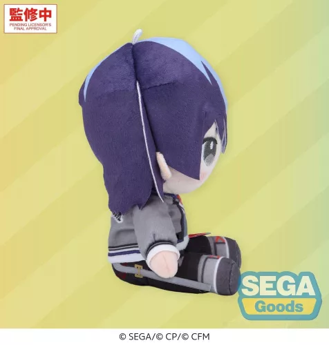 Hatsune Miku: Colorful Stage! Mysekai Plush Figure Toya Aoyagi (S) 13 cm