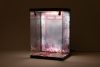 SHINSAI Acrylic Display Case with Lighting Inbina Rasethuhime Saki M Edition 39 cm