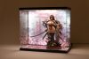 SHINSAI Acrylic Display Case with Lighting Inbina Rasethuhime Saki 39 cm