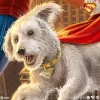 Superman (2025) DC Comics Art Print Superman: A Symbol of Hope 41 x 61 cm - unframed
