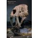 Wonders of the Wild Series Statue Smilodon Skull Fossil 22 cm