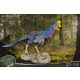 Wonders of the Wild  Statue Oviraptor 32 cm