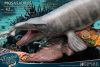 Wonders of the Wild Statue Mosasaurus (DX) 42 cm