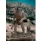 Bubo the Mechanical Owl Soft Vinyl Statue Troglodyte Deluxe Version 30 cm