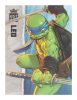 Teenage Mutant Ninja Turtles BST AXN Figura Leonardo (IDW Comics) 13 cm