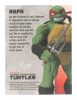 Teenage Mutant Ninja Turtles BST AXN Figura Raphael (IDW Comics) 13 cm