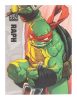 Teenage Mutant Ninja Turtles BST AXN Figura Raphael (IDW Comics) 13 cm